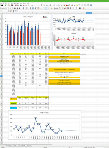 glucose spreadsheet