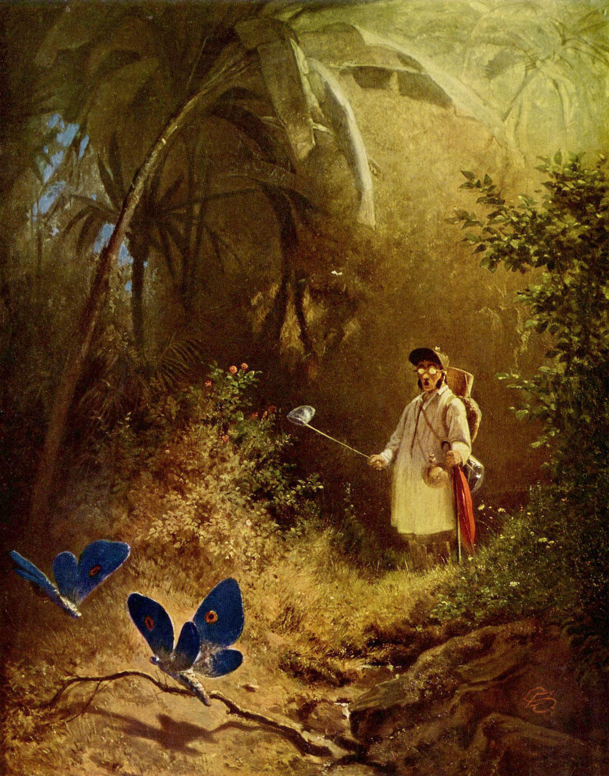 Der Schmetterlingsjäger (The Butterfly Hunter), Carl Spitzweg